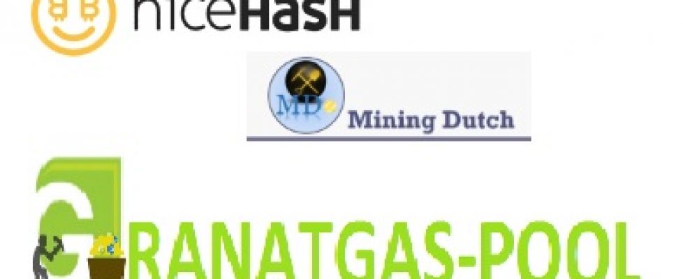 Nicehash Dutch-mining Grantgas-Pool